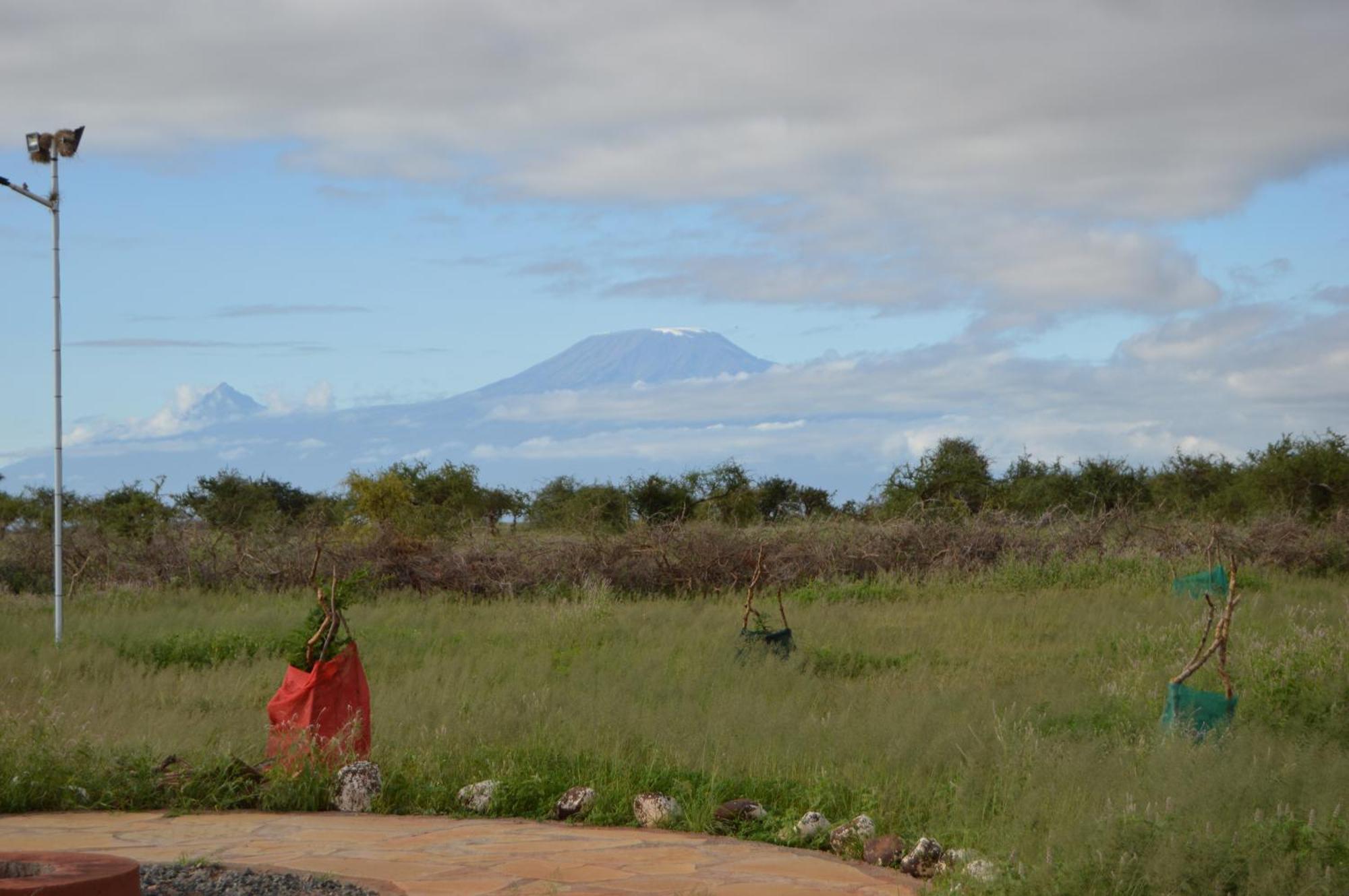 Wild Amboseli Ndovu Cottage. Exterior foto
